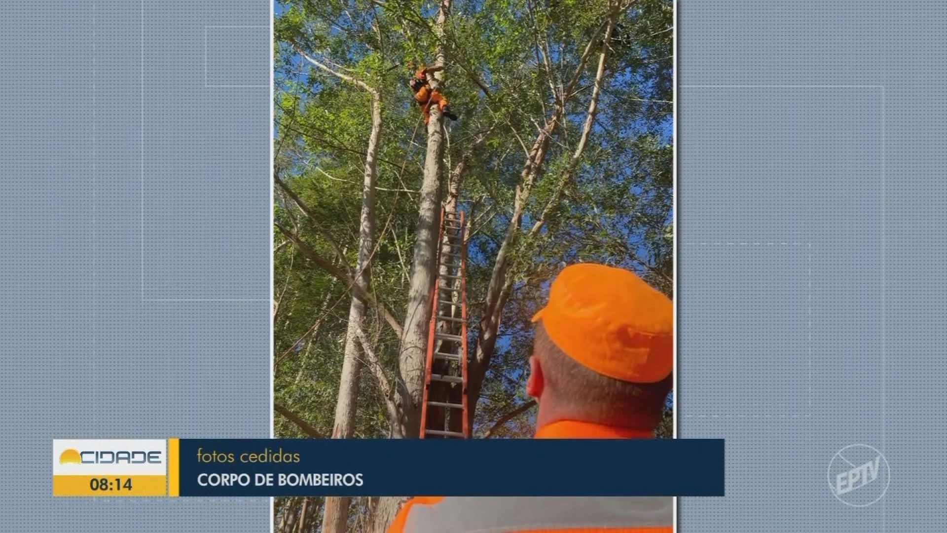 VÍDEOS: Bom Dia Cidade Sul de Minas de segunda-feira, 27 de outubro de 2025