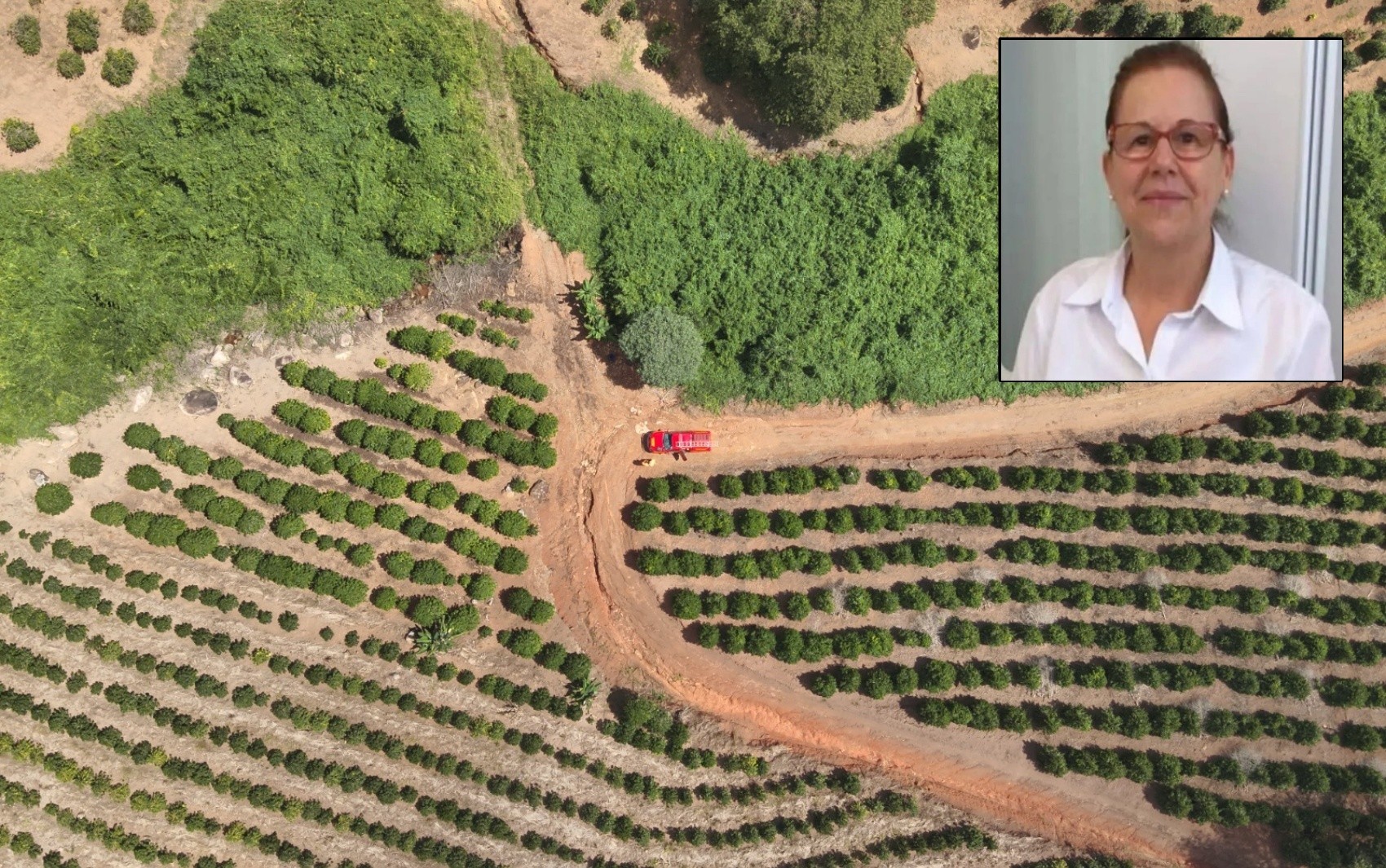Farmacêutica desaparecida é encontrada morta após três dias de buscas na zona rural, em MG | G1