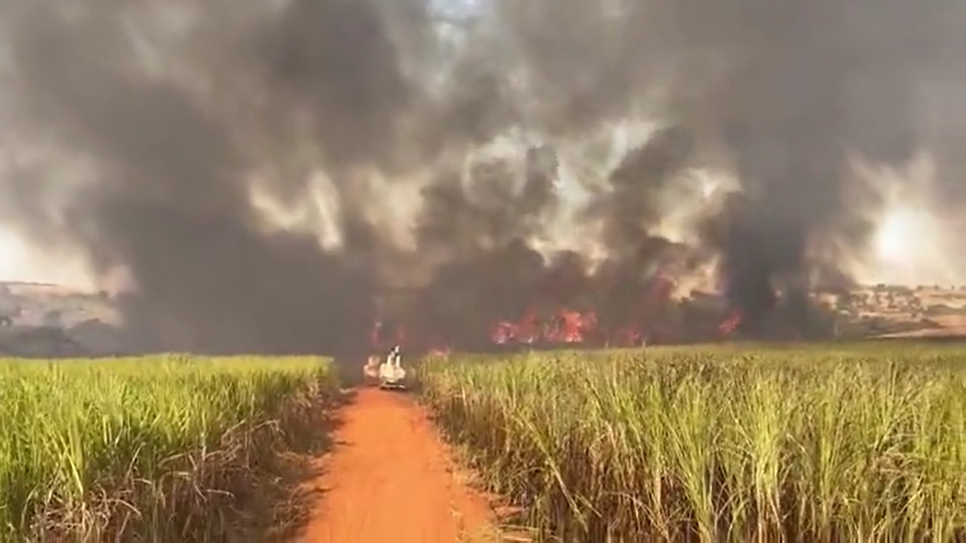 Incêndio de grandes proporções atinge extensa plantação de cana-de-açúcar, em Osvaldo Cruz
