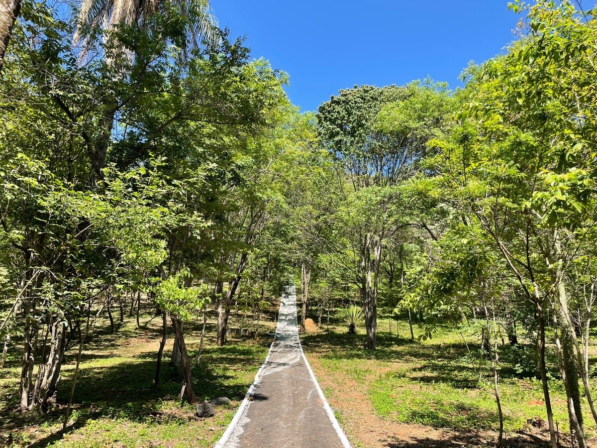 Parque Sapucaia é reaberto em Montes Claros | Grande Minas | G1