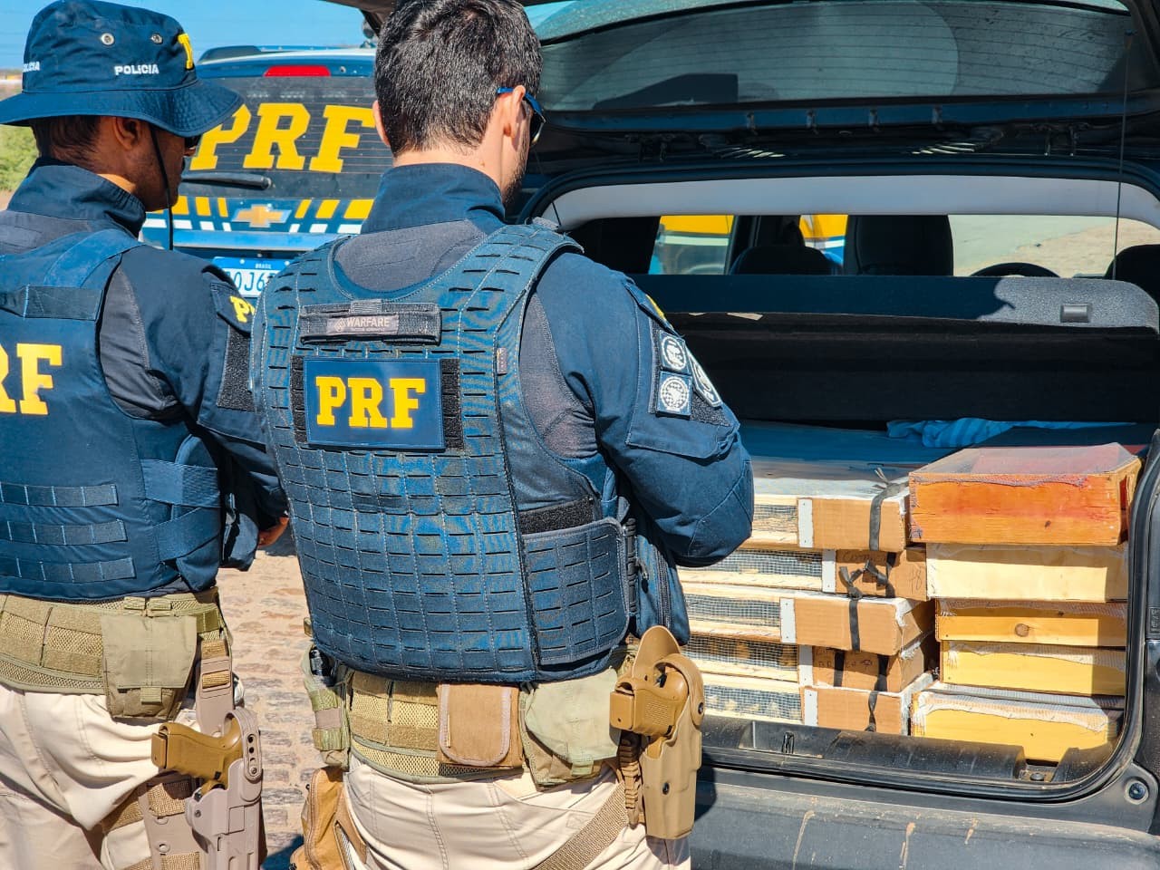 Irmãos são detidos pela PRF com mais de 400 pássaros silvestres; VÍDEO