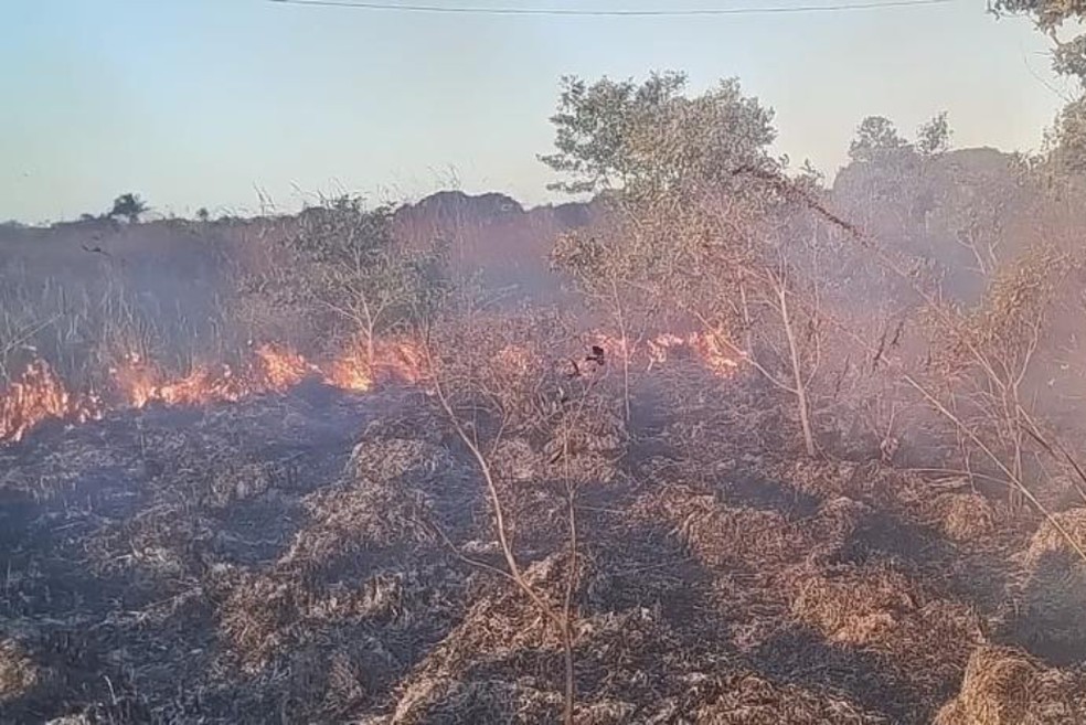 Incêndio atinge aldeias indígenas entre as cidades de Porto Seguro e Santa Cruz Cabrália — Foto: Arquivo pessoal