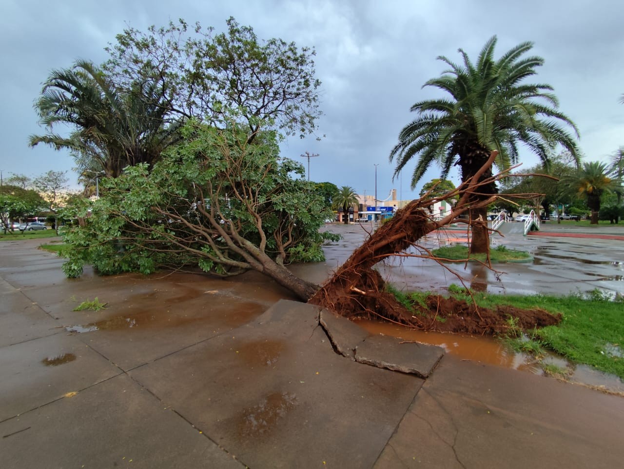 Você Não Tá Convidada pro Meu Bat Mitzvá!
