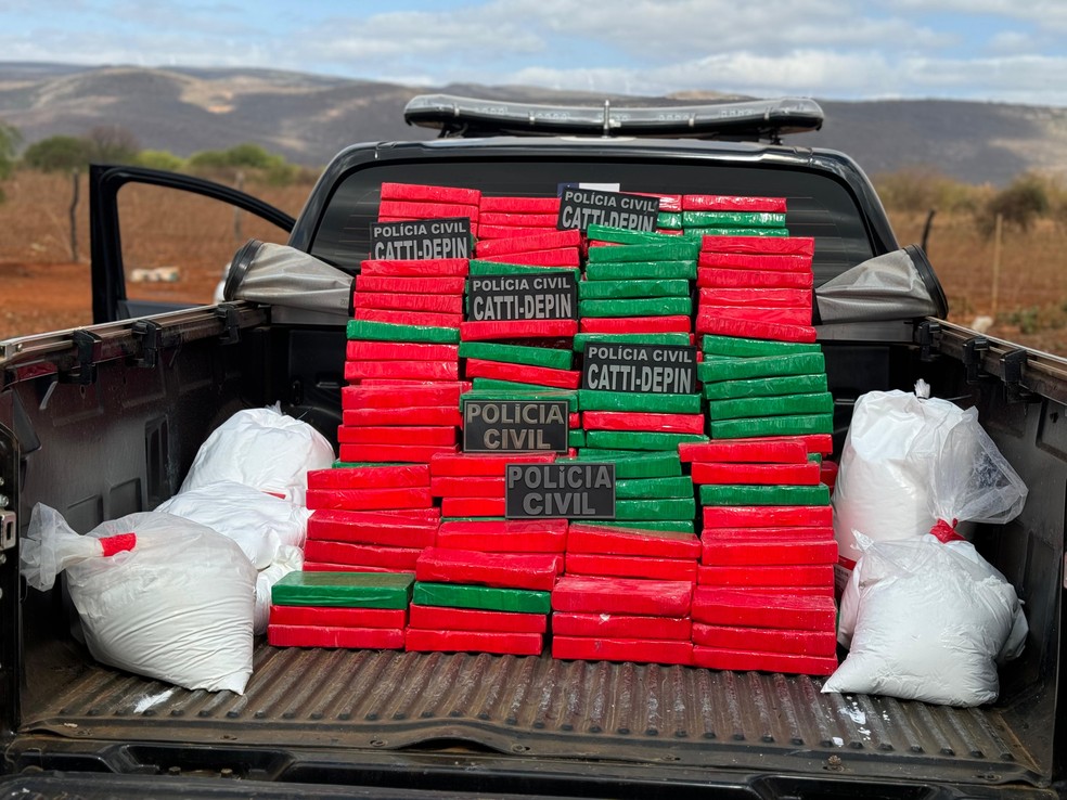 Bahia registra maior apreensão de cocaína de 2024 — Foto: Divulgação/Polícia Civil
