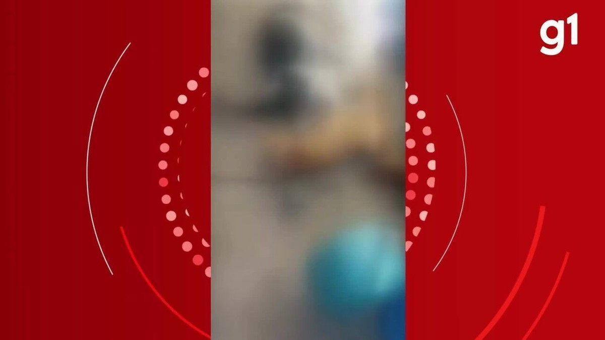 Morador espanca cachorro até a morte e deixa outro estado grave em Cuiabá