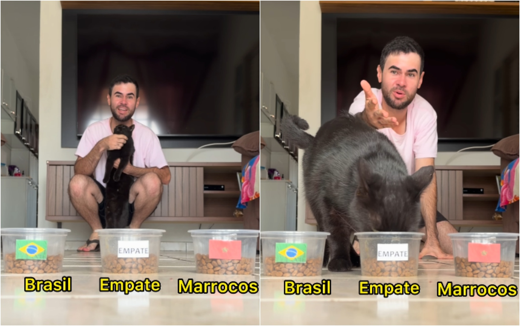 Gato 'vidente' que acertou empate entre Brasil e Marrocos aposta em vitória da Seleção contra o Haiti