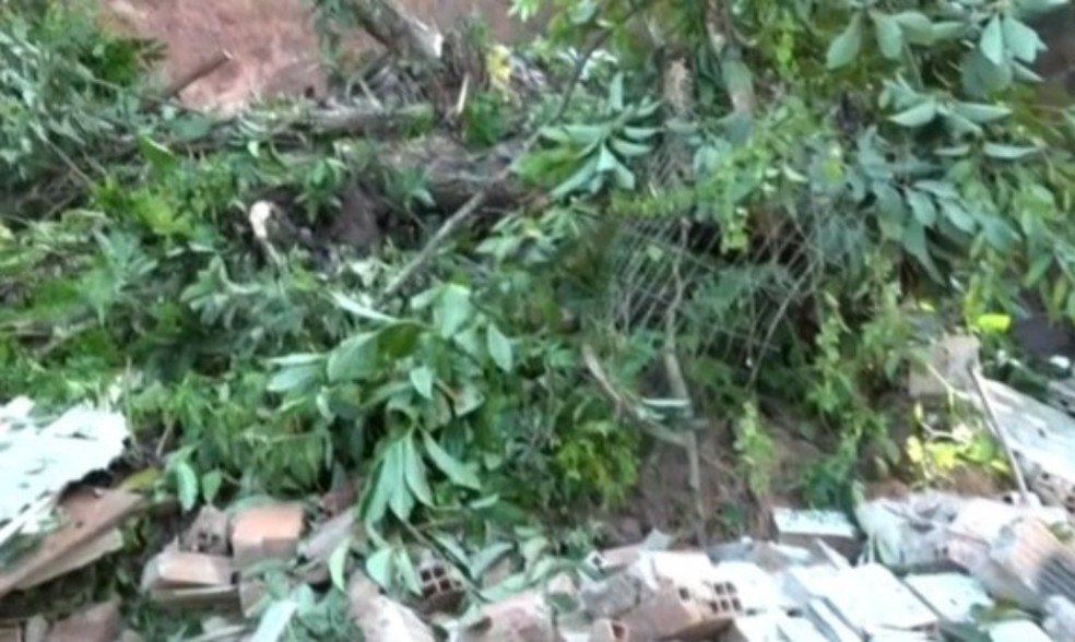 Casa desabou após fortes chuvas em Porto Seguro — Foto: Reprodução/TV Santa Cruz