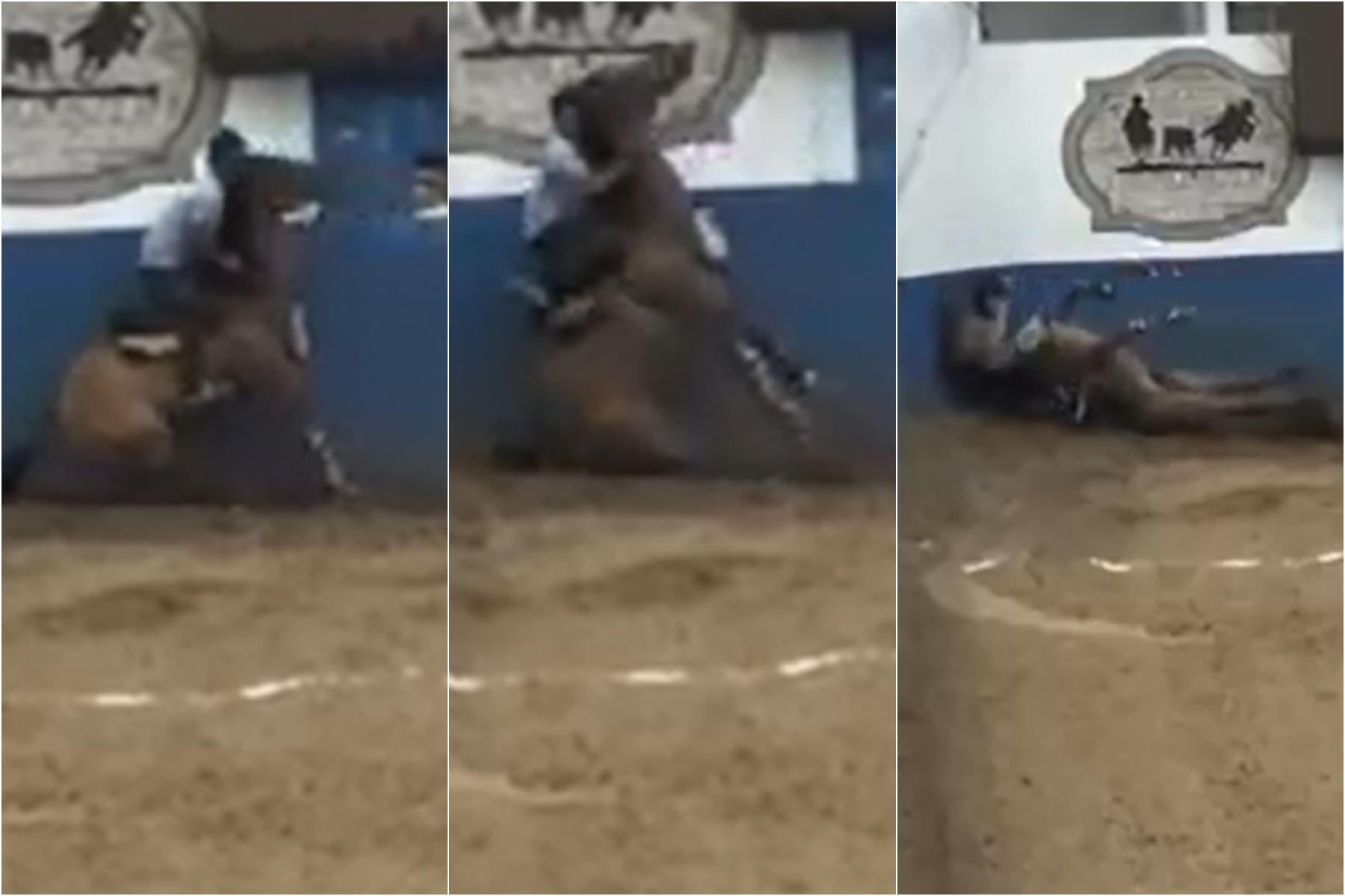 VÍDEO: Cavalo morre durante vaquejada no interior do RN