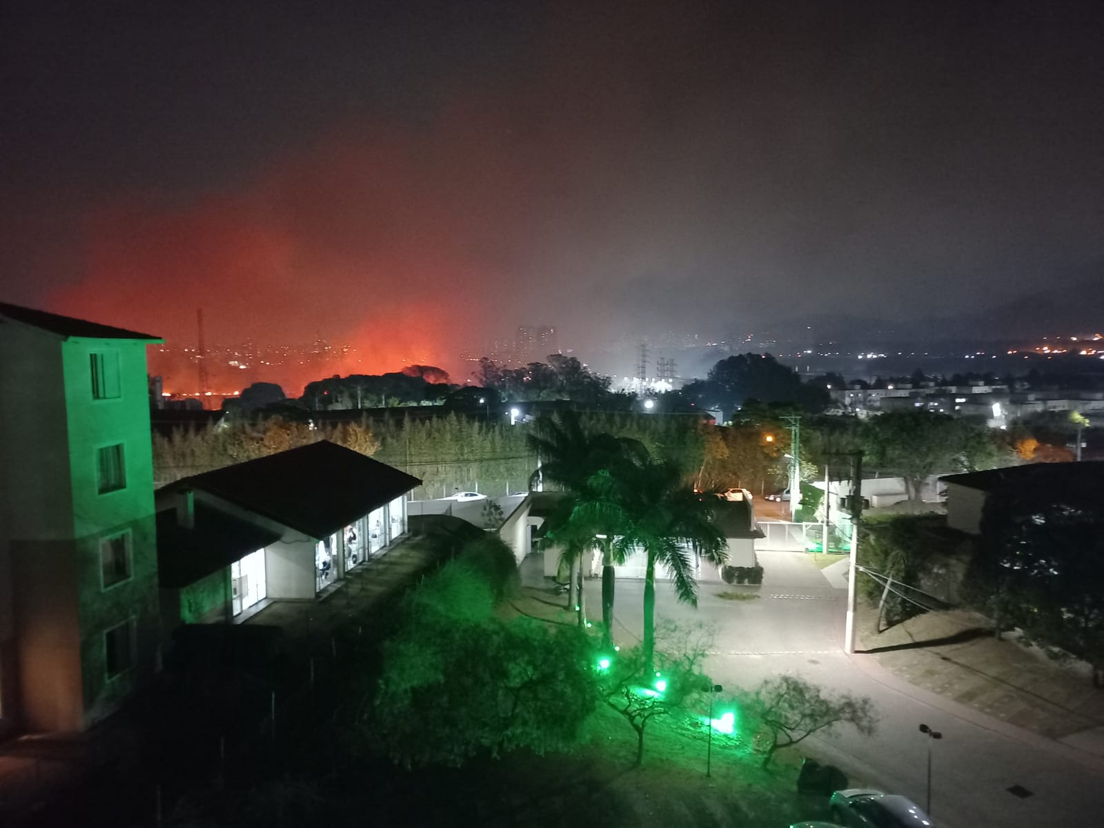 'Esses incêndios trazem grandes prejuízos à fauna silvestre', diz especialista sobre incêndio em área de mata em Mogi das Cruzes