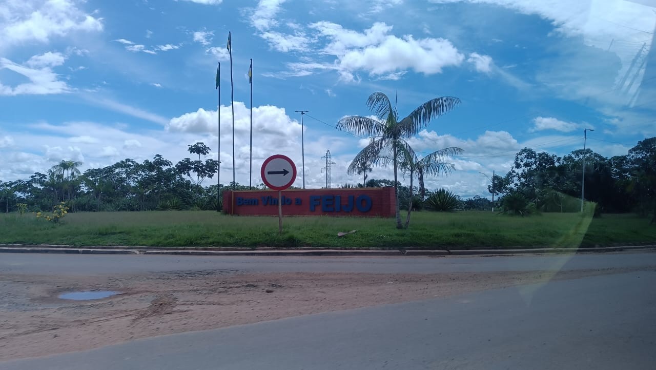Man dies after being hit by a tree he was cutting in the interior of Acre
