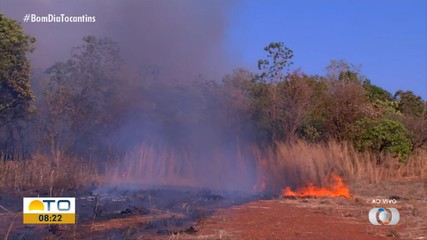 Defesa civil e bombeiros combatem queimada nas proximidades do Colégio Militar de Palmas