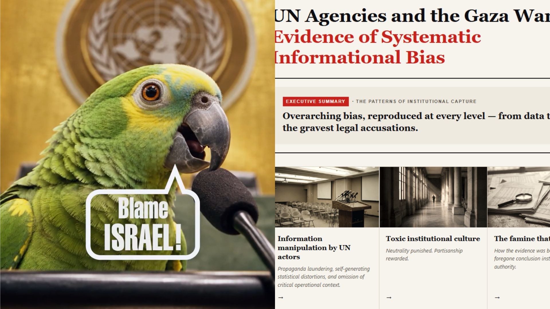 Governo Netanyahu chama críticos de 'papagaios' e acusa ONU de 'viés sistemático' contra Israel; VÍDEO