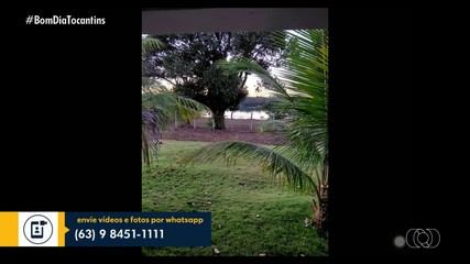 BDT mostra a participação de telespectadores nesta sexta-feira; confira