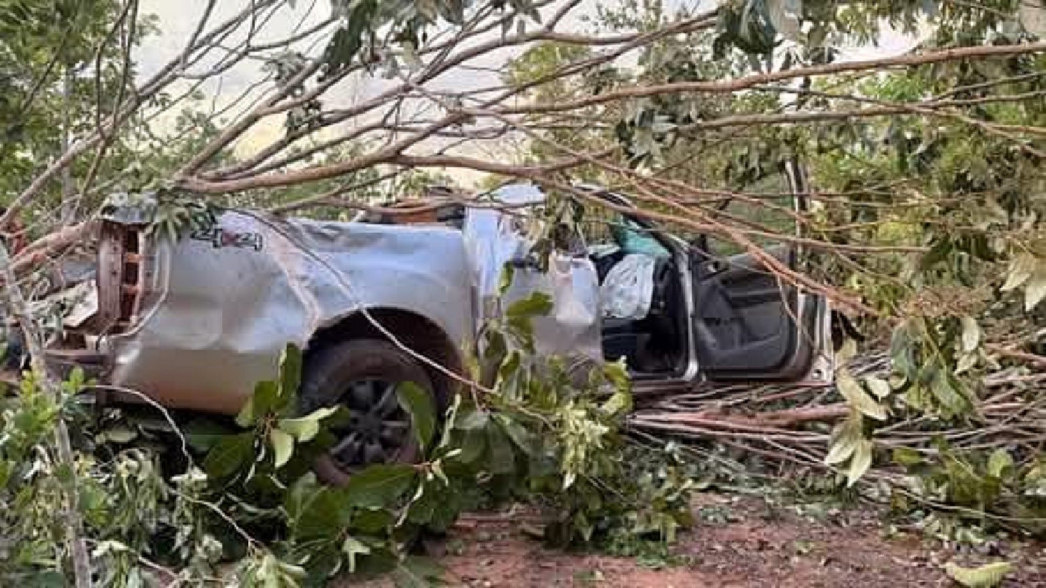 Homem morre após caminhonete capotar na TO-130