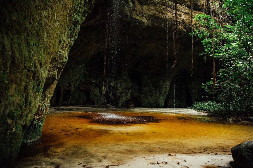 Caverna Maroaga é acessado por trilha realizada com acompanhamento de guia turístico — Foto: Lucas Macedo/g1 Amazonas