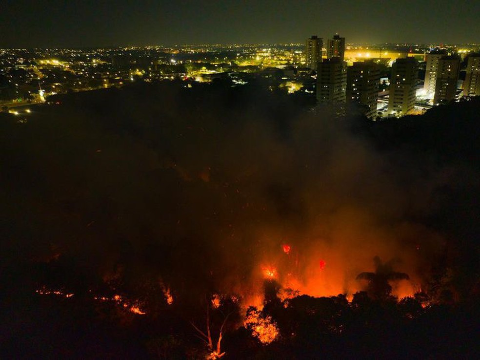 Incêndio atinge área de mata em Manaus — Foto: Chico Batata/Divulgação