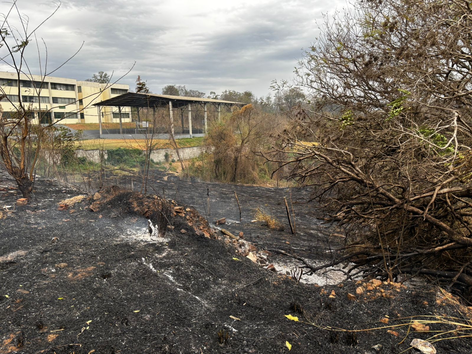 Queimadas em Piracicaba deixam alunos sem aulas em três escolas do bairro Santa Fé