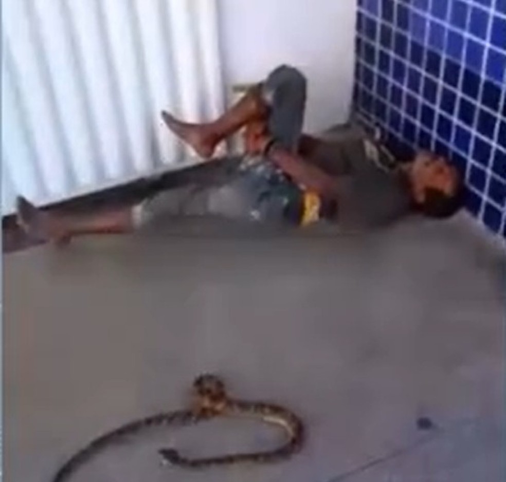 Homem afirma ter atendimento negado após ser picado por uma cobra em Salvador — Foto: Reprodução/TV Bahia