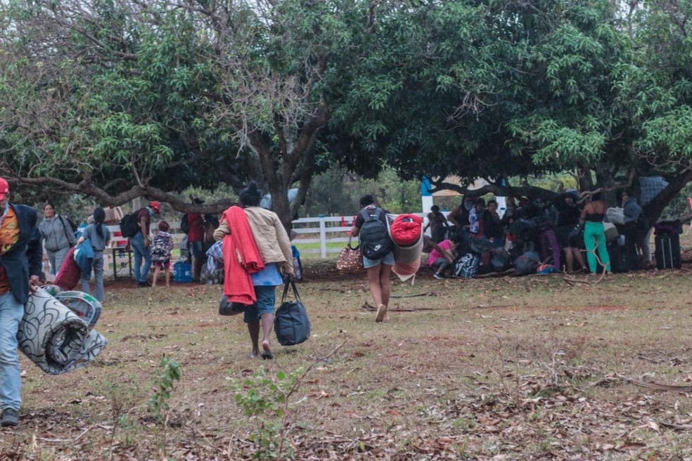 Mulheres ligadas ao MST ocuparam fazenda em Presidente Epitácio (SP), no Pontal do Paranapanema — Foto: Divulgação/MST São Paulo