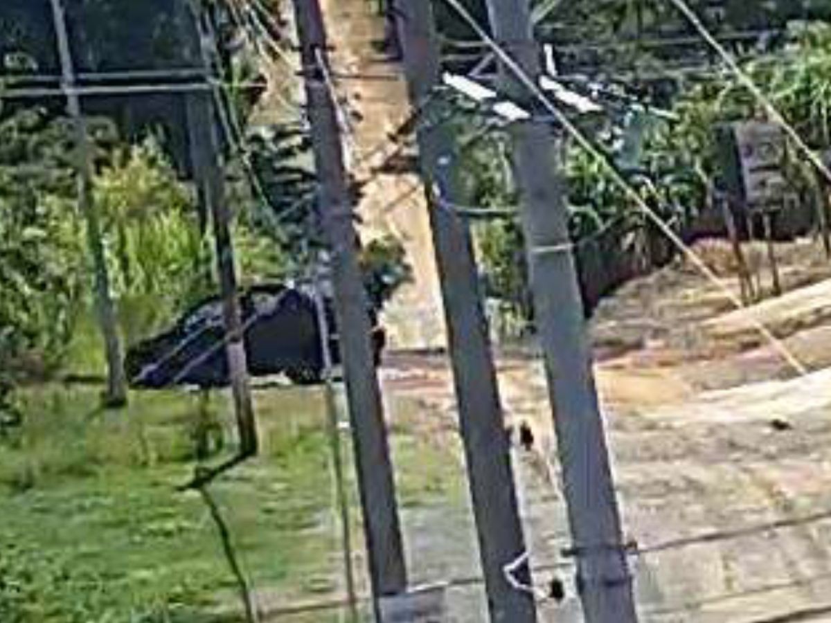 De latrocínio a homicídio: filha é presa e indiciada por assassinato do pai a tiros em Campinas