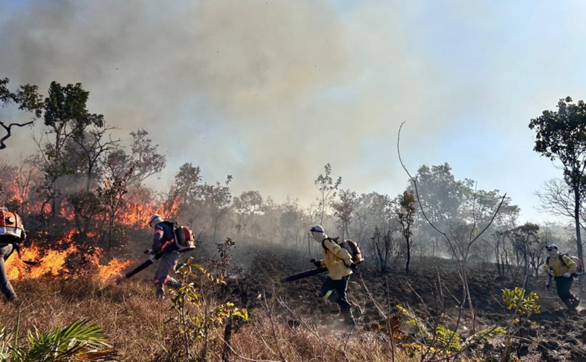 Tocantins registra mais de quatro mil focos de queimadas desde o início de 2025