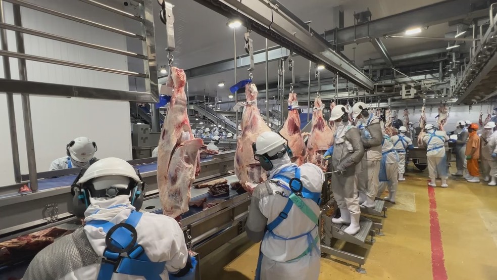 Exportação de carne bovina quase dobra no Paraná em 2024. — Foto: RPC