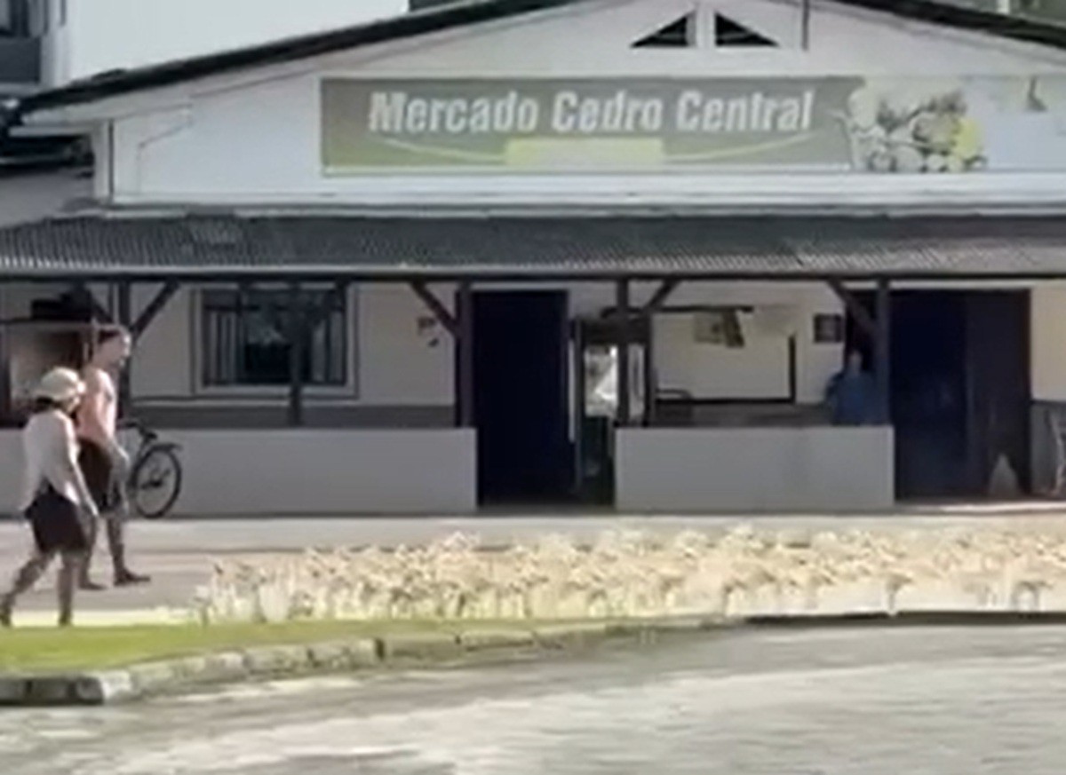 'Exército' de 500 marrecos 'marcha' em rua de SC ao lado de tutores e vídeo viraliza