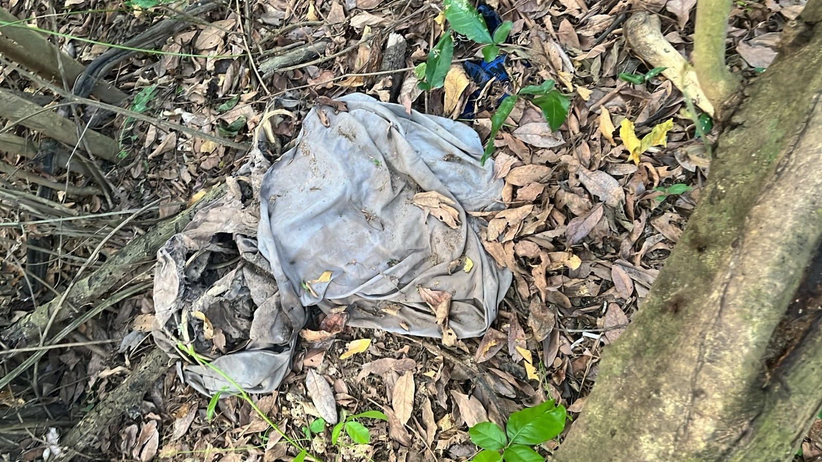 Ossada humana é encontrada nas proximidades da Ponte da Amizade, entre Teresina e Timon