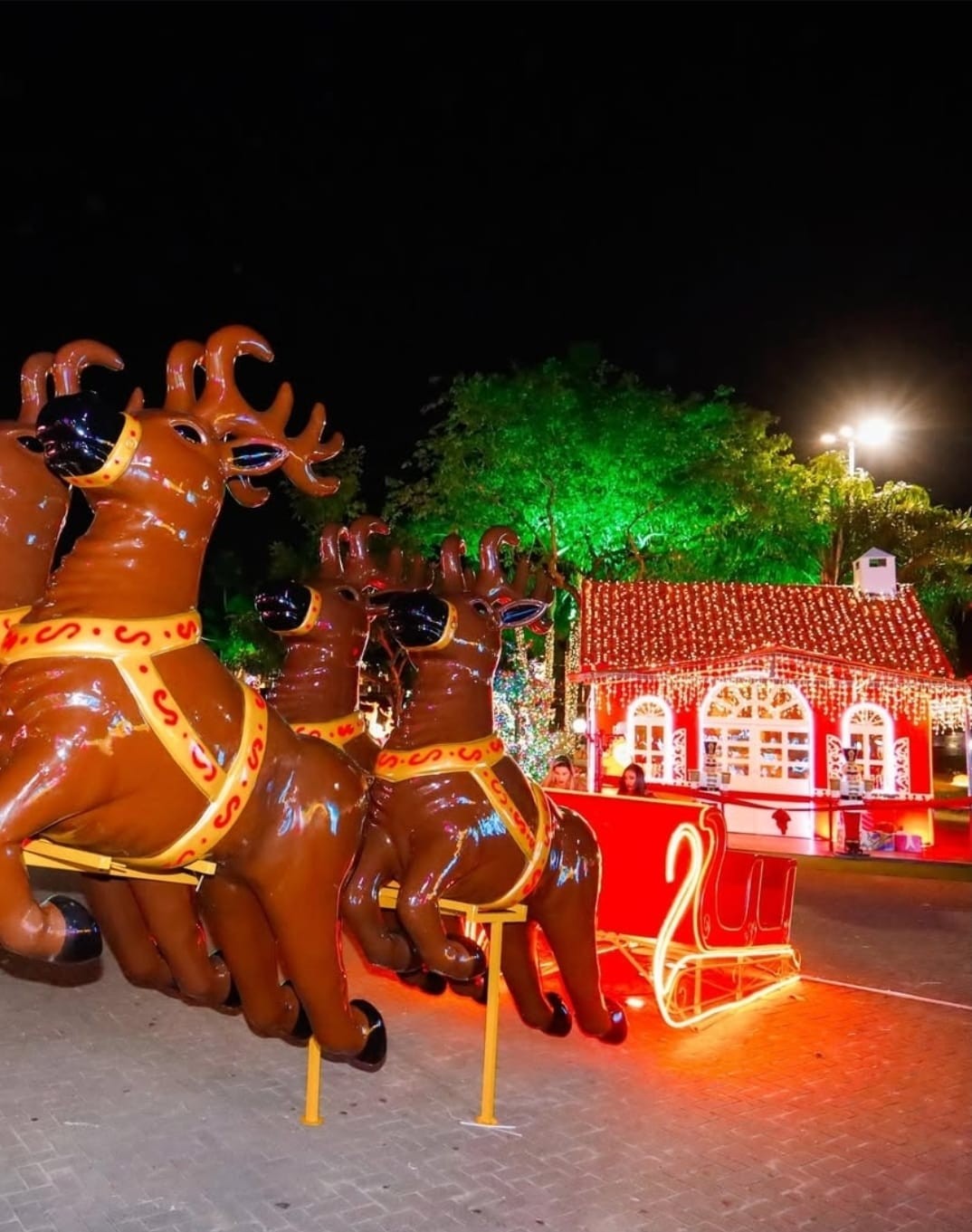 Decoração de Natal em João Pessoa — Foto: Reprodução