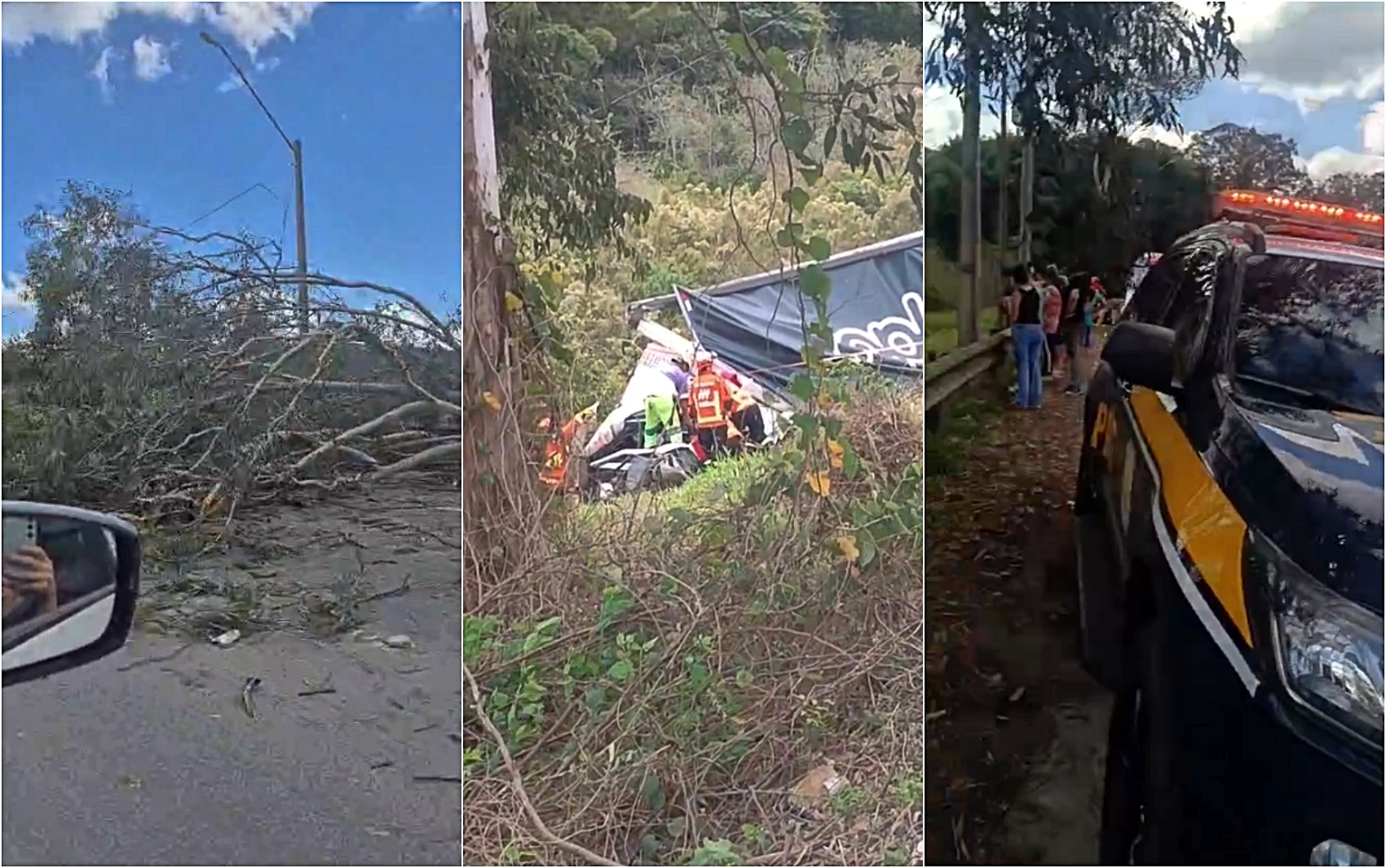 Carreta sai da pista, bate em árvore e deixa um homem gravemente ferido na Fernão Dias, em MG