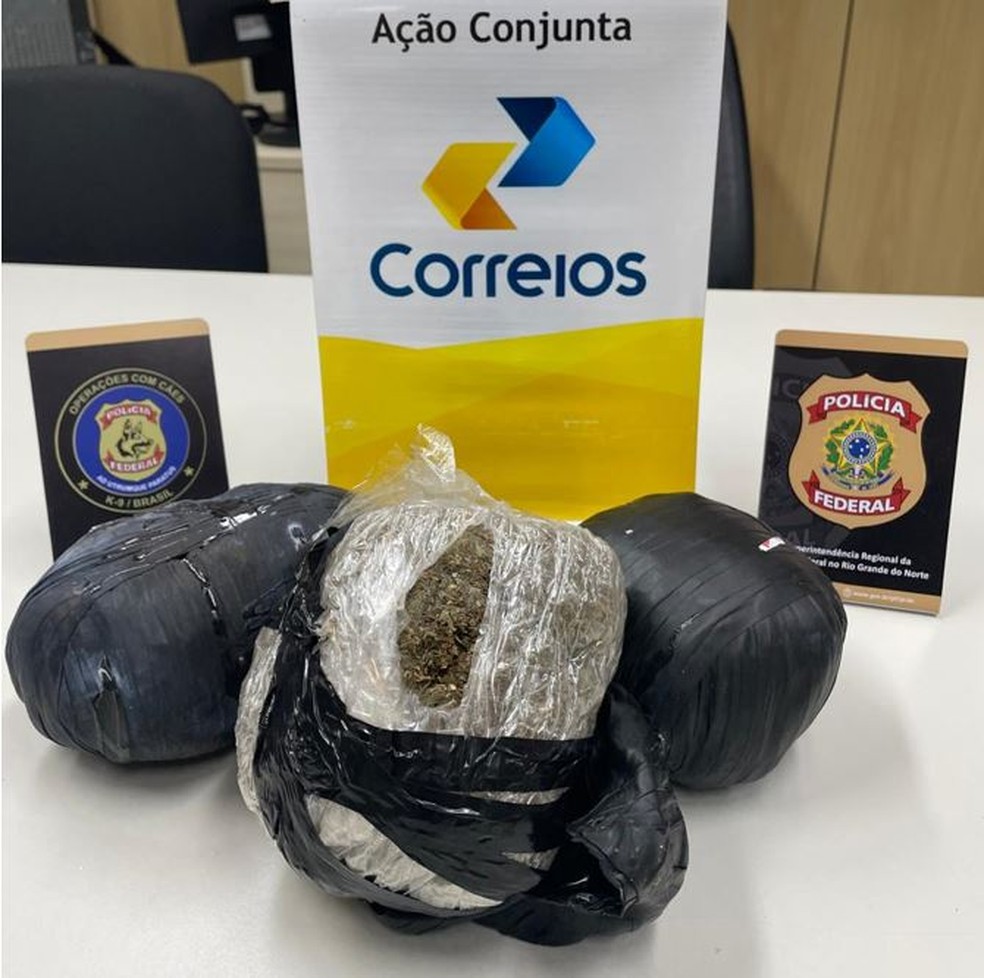 Maconha apreendida pela Polícia Federal em Natal — Foto: Divulgação/PF