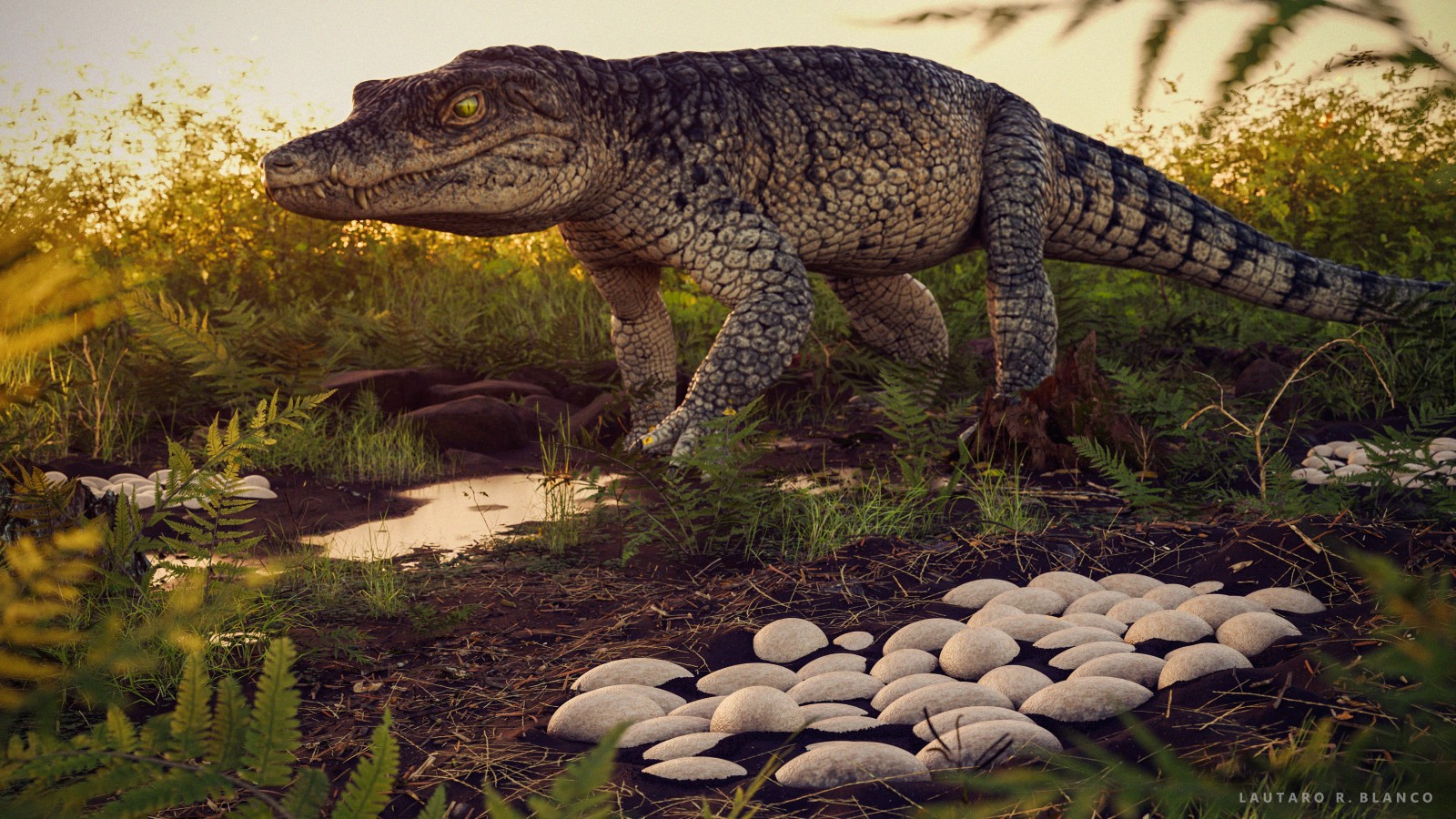 Interior de SP foi 'berçário' de crocodilomorfos entre 90 e 70 milhões de anos atrás, aponta estudo