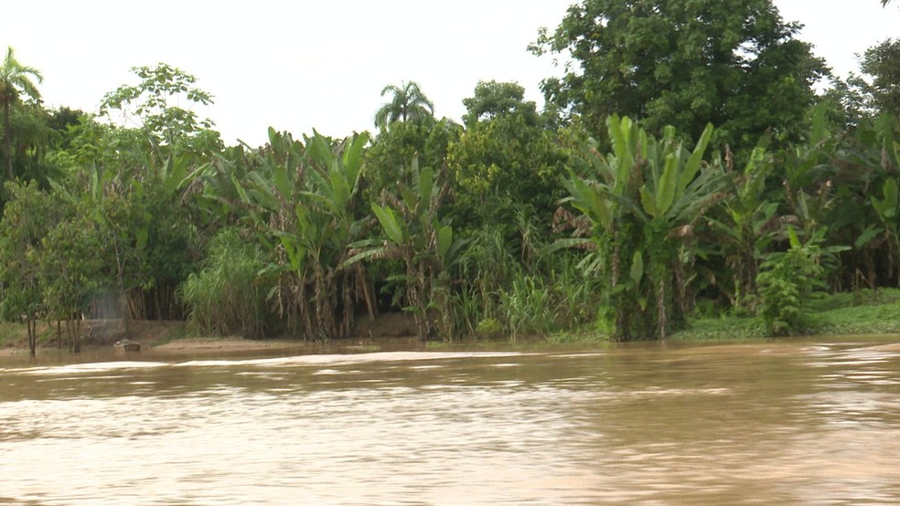 Agricultores lamentam perdas de produção durante a cheia — Foto: Reprodução Rede Amazônica