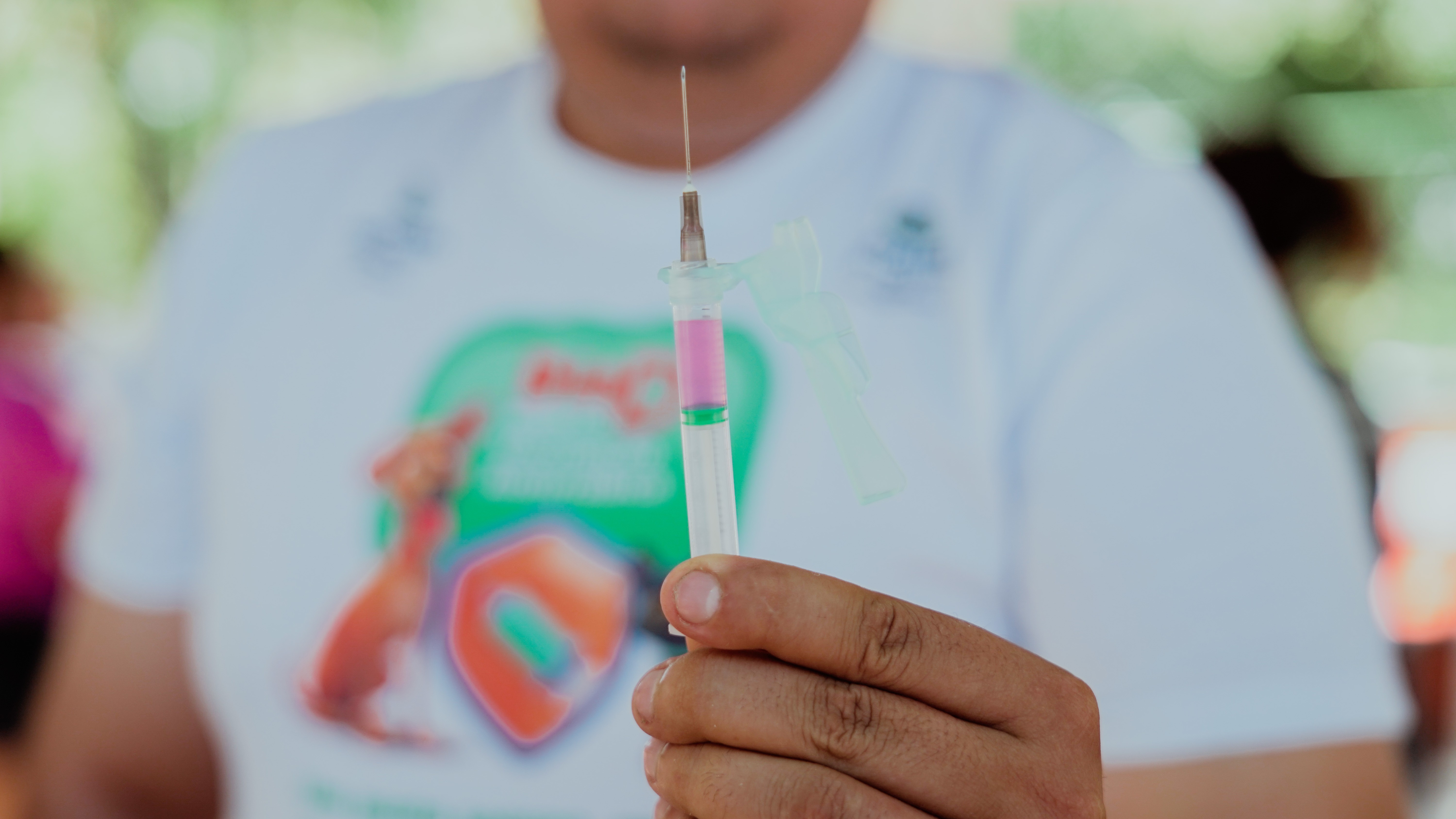 Fortaleza realiza Dia D de vacinação antirrábica para cães e gatos no sábado; veja locais