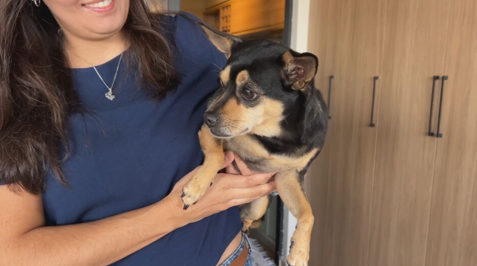 Elisa Franco é tutora da cachorrinha Macarena, que teve problemas respiratórios — Foto: TV TEM/Reprodução