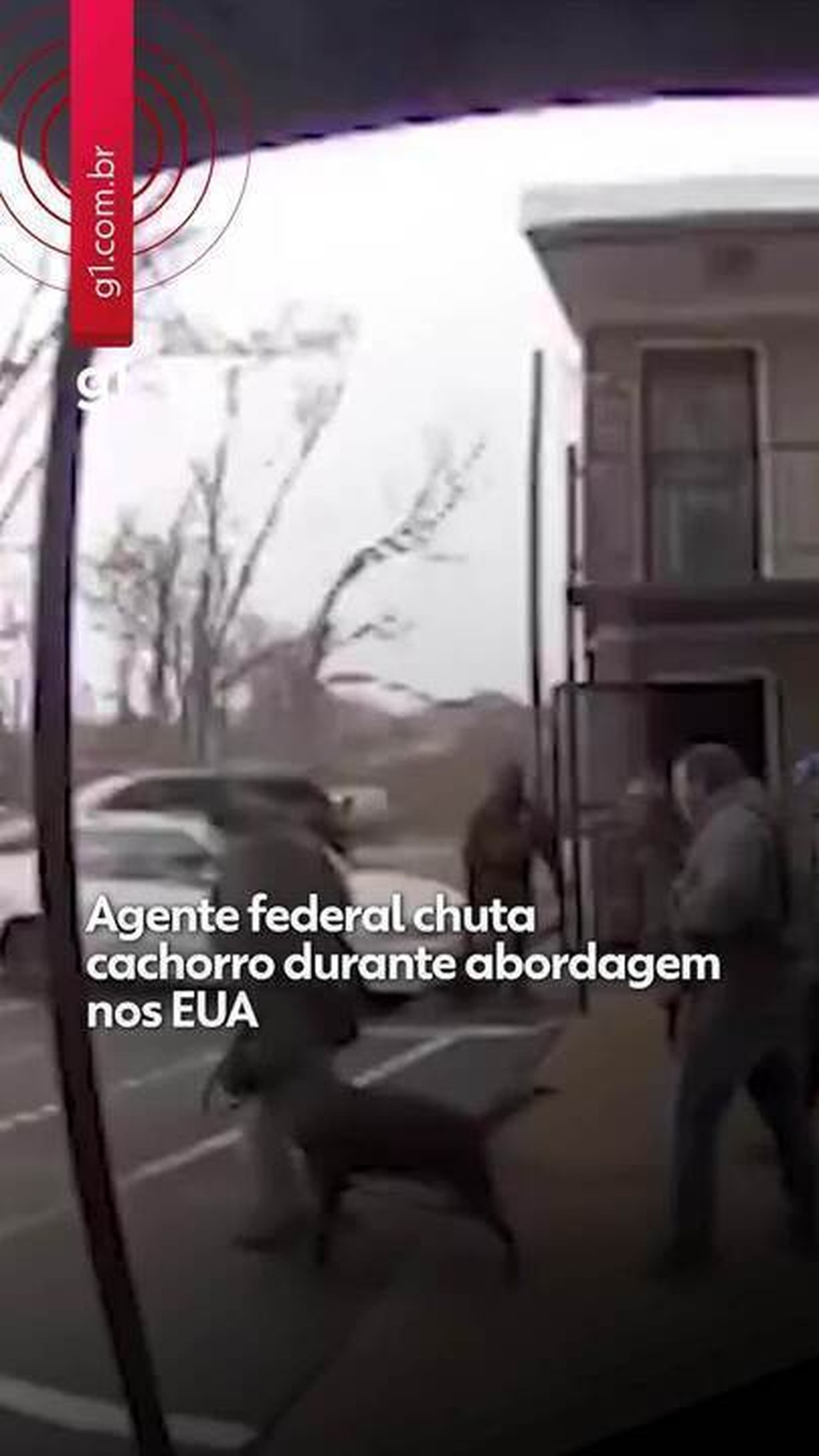 VÍDEO: agente federal chuta cachorro durante abordagem nos EUA