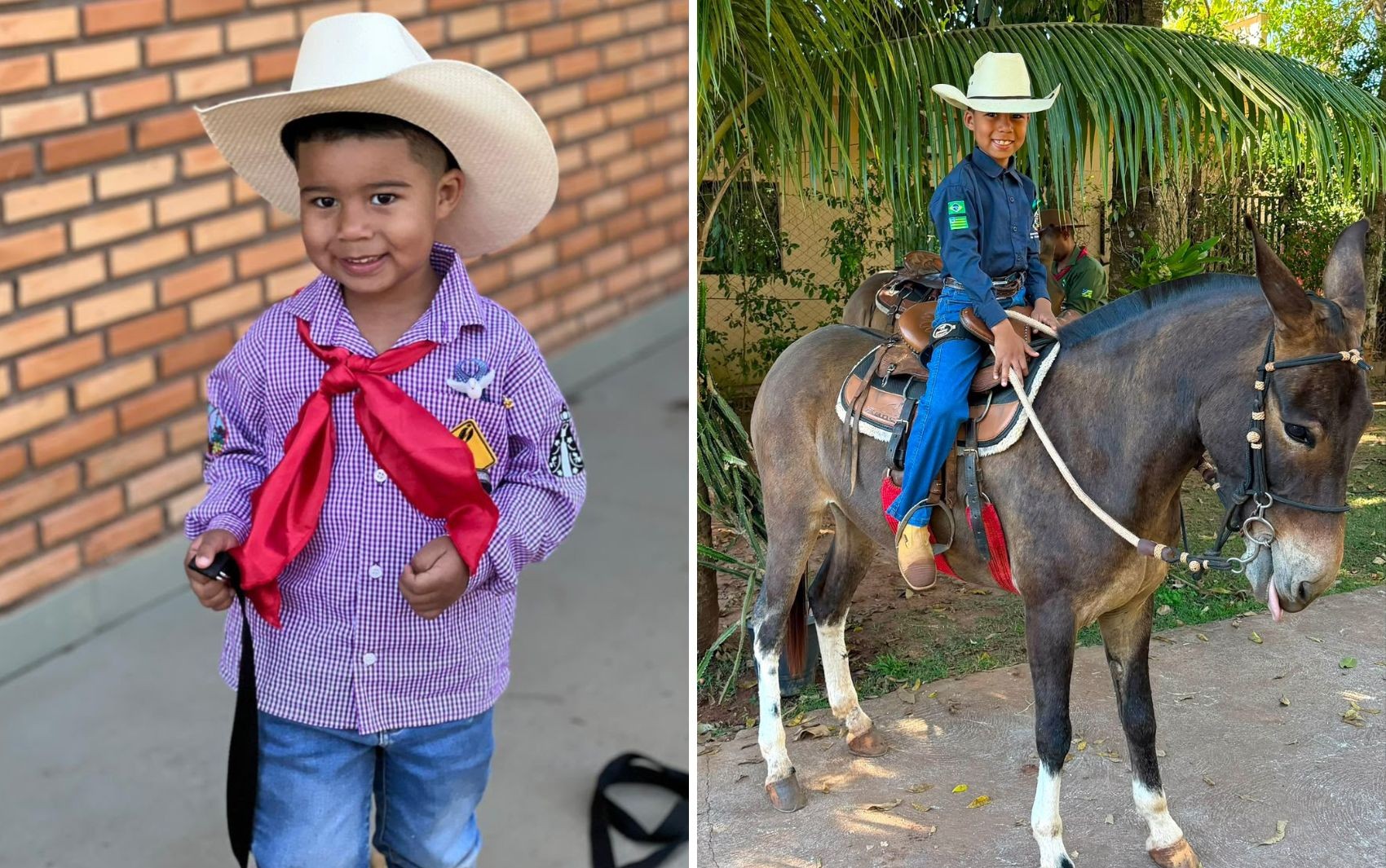 Criança reencontra mula perdida a caminho da Romaria de Trindade e comemora: 'Consegui achar minha Babalu' 