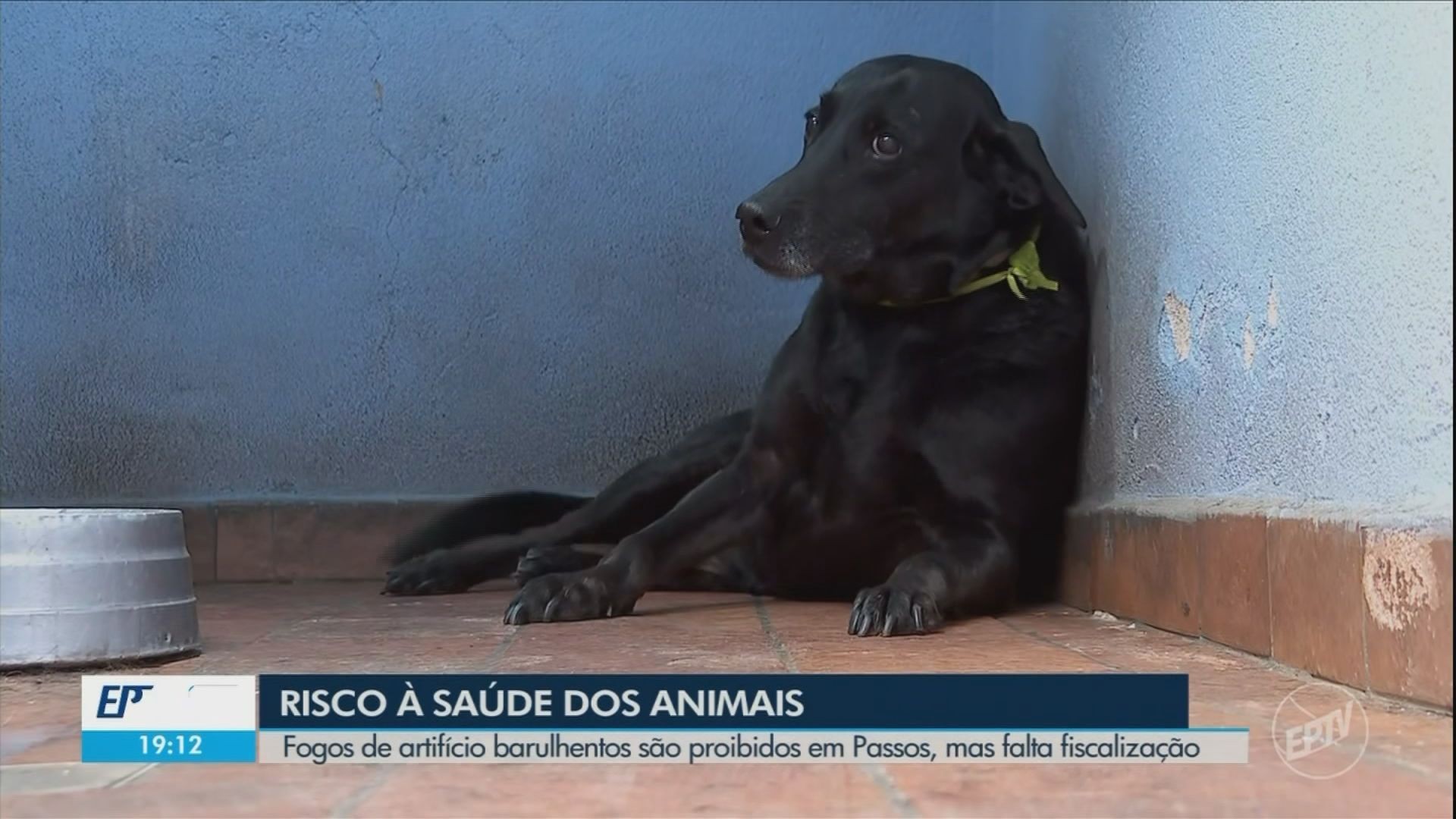 VÍDEOS: EPTV 2 Sul de Minas de terça-feira, 1º de julho de 2025