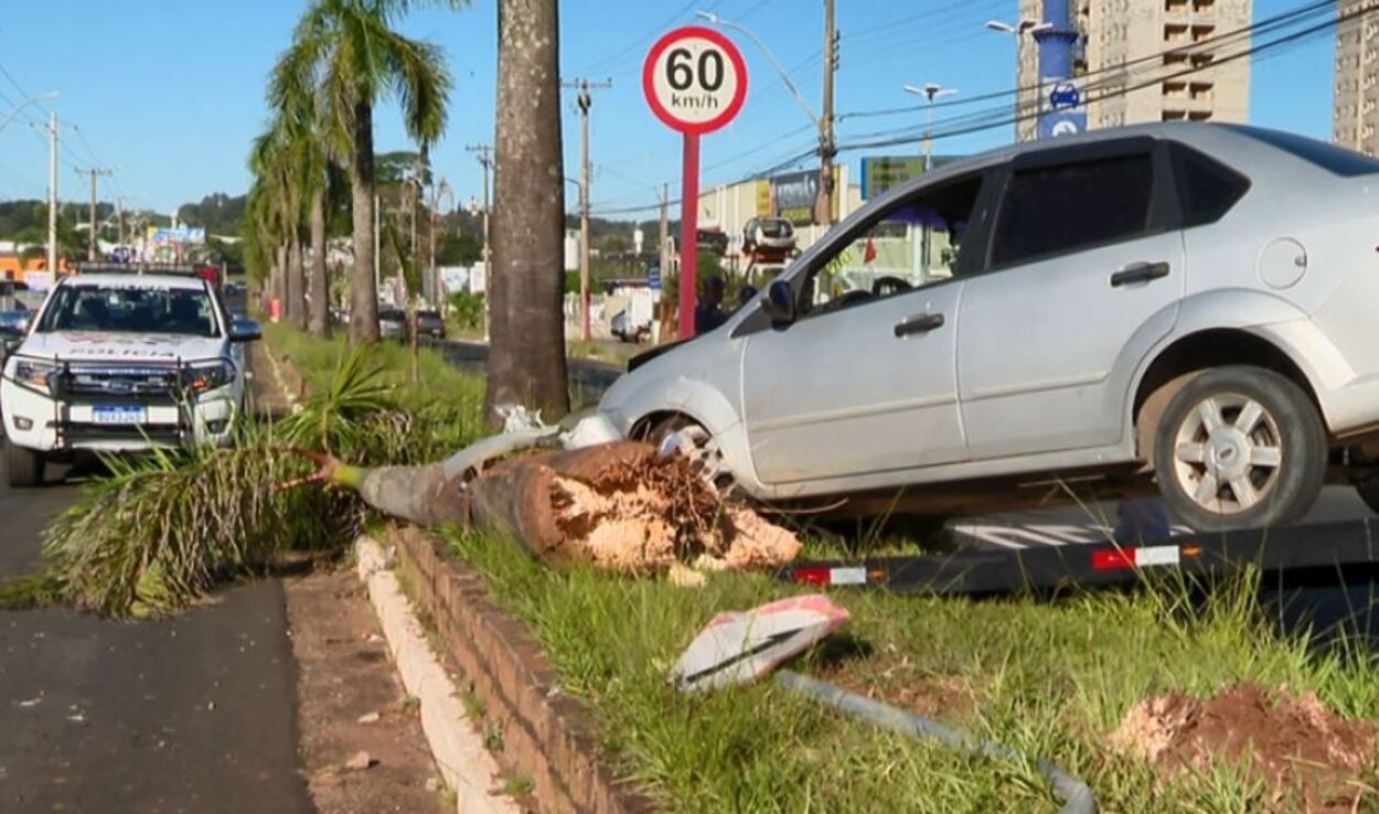 Motorista perde controle do carro, invade canteiro e derruba coqueiro e placa de trânsito no interior de SP