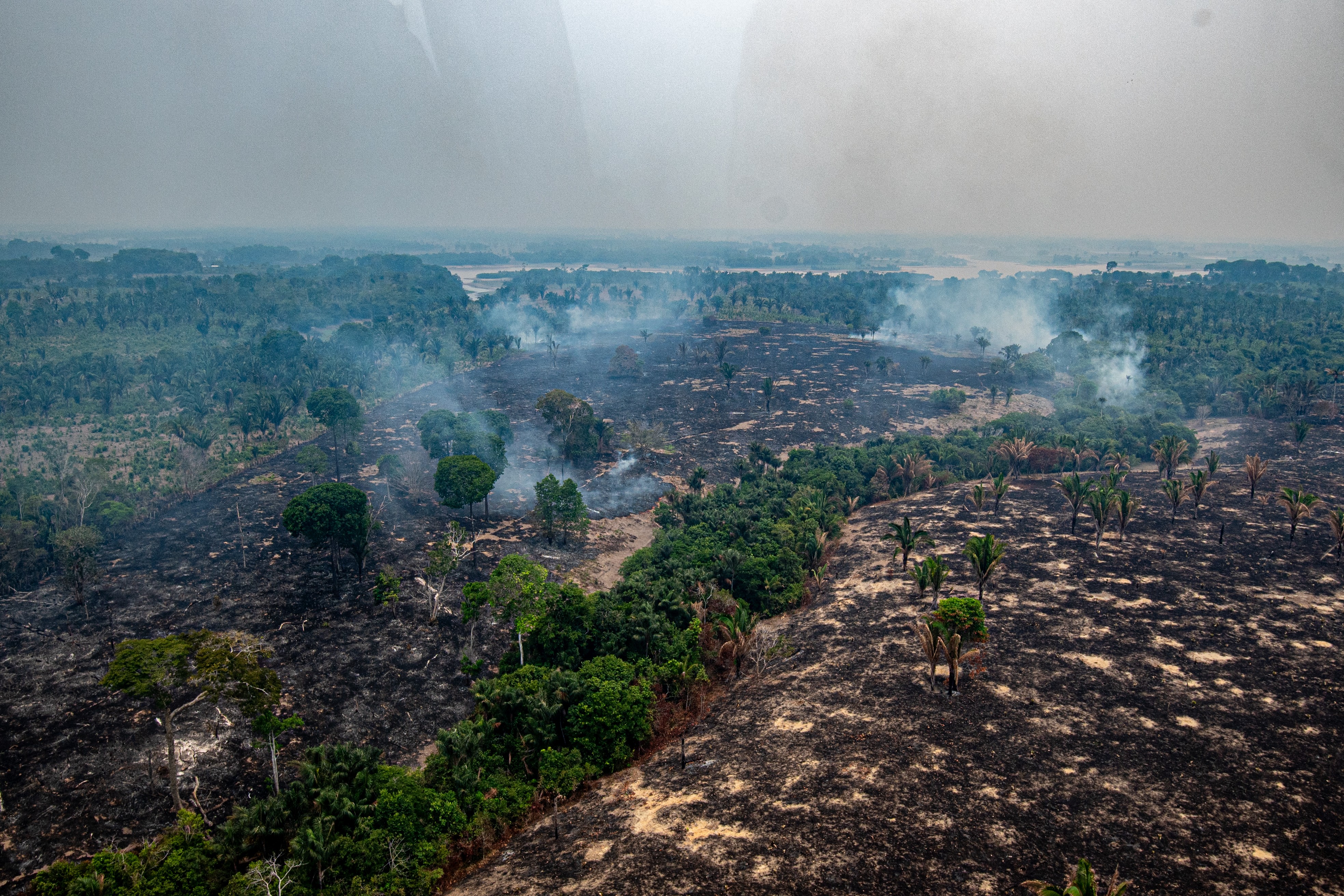 8 em cada 10 focos de fogo no Amazonas estão em imóveis rurais privados; queimadas disparam após o 1º turno