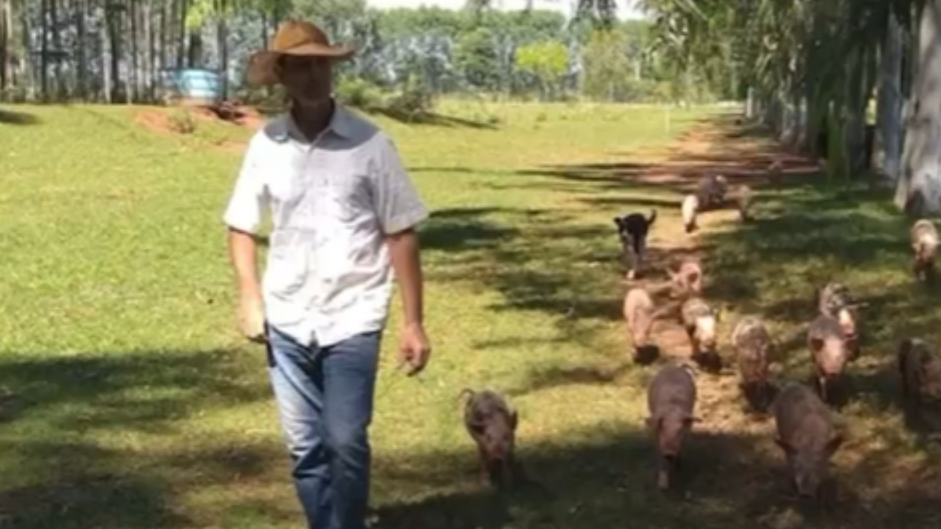 Discussão por invasão de gado e legítima defesa alega fazendeiro após matar vizinho em MS