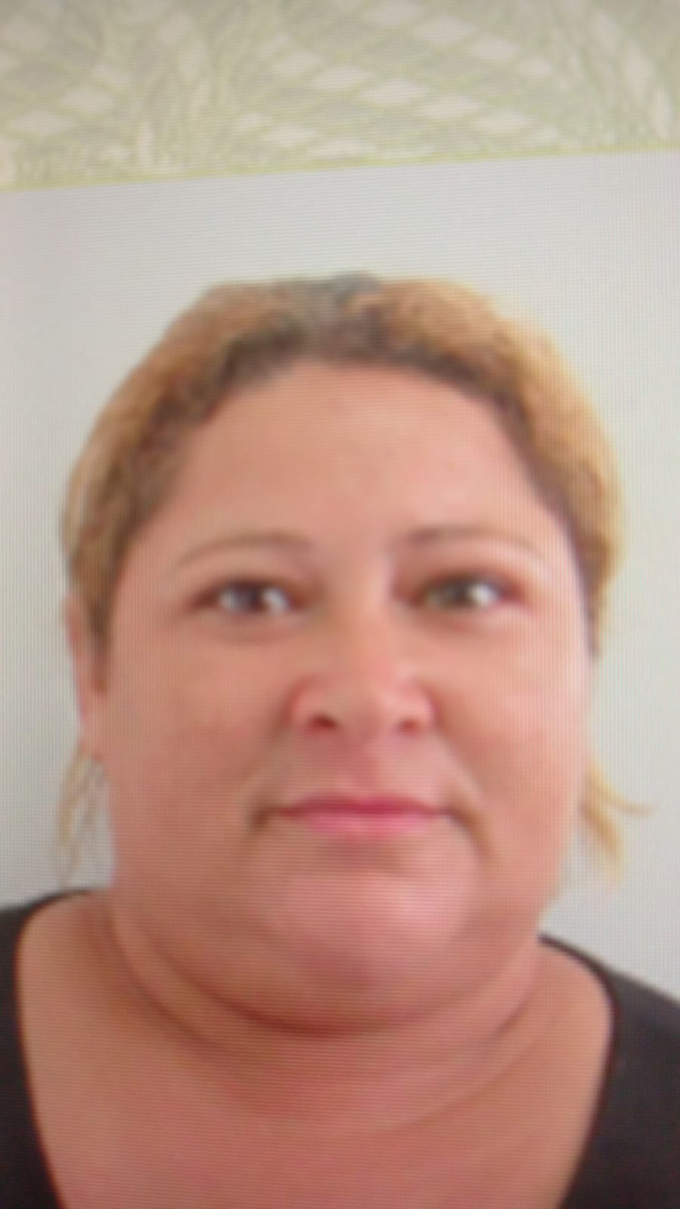 Francisca Alves Ribeiro, de 39 anos, foi encontrada morta no último domingo (30) — Foto: Arquivo pessoal