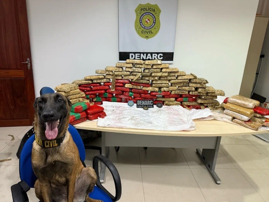 Cão encontra 180 kg de drogas em terreno de mata no município de Cametá, no Pará