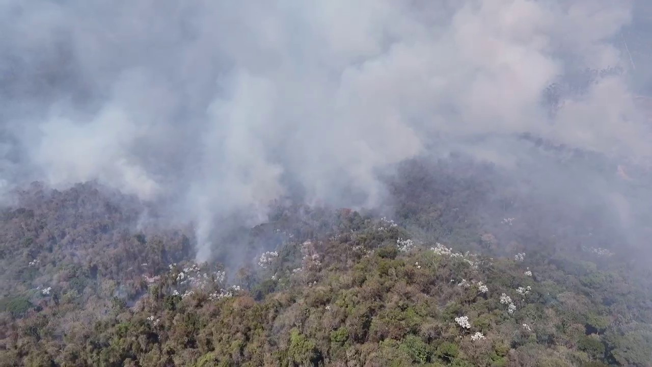 VÍDEO: Pico das Cabras tem pelo menos seis focos ativos de incêndios, diz Corpo de Bombeiros