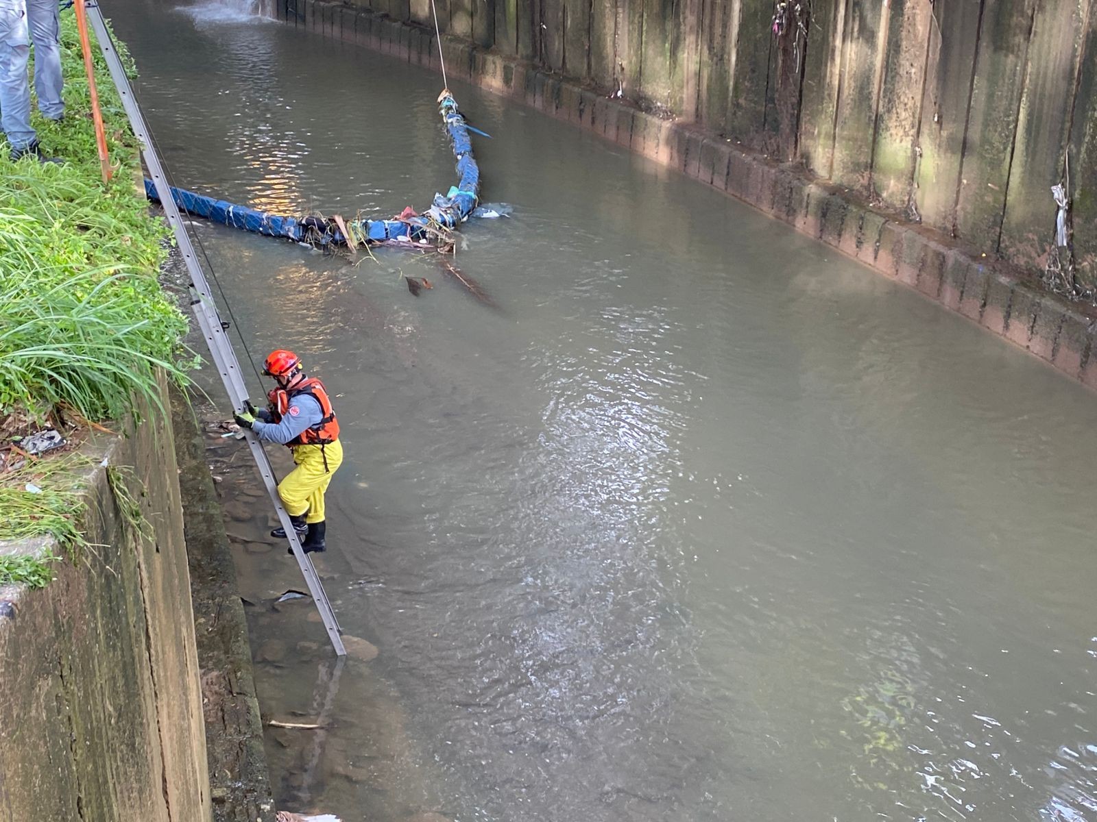 Bombeiros retomam buscas por casal desaparecido em enxurrada na Zona Sul de SP; vídeo mostra carro sendo levado