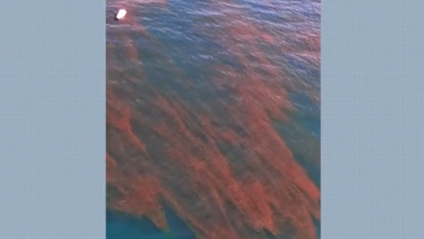 Mancha avermelhada no mar preocupa moradores em Ilhabela (SP); suspeita é de maré vermelha