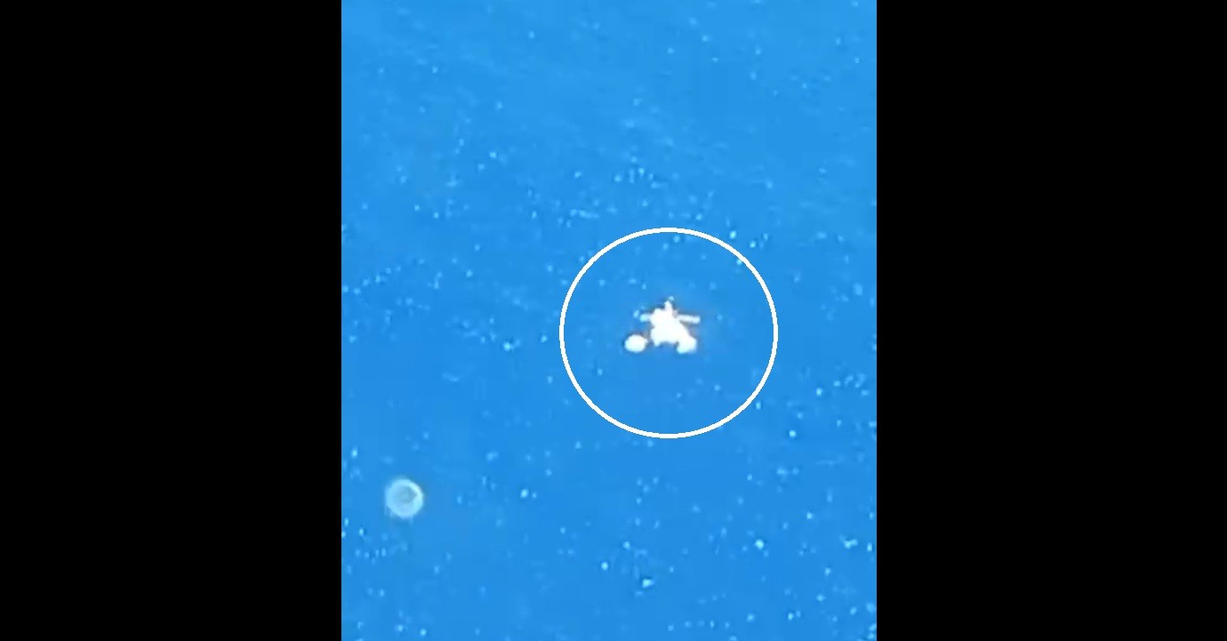 Táxi aéreo faz pouso de emergência em praia na Região dos Lagos e vítimas são resgatadas