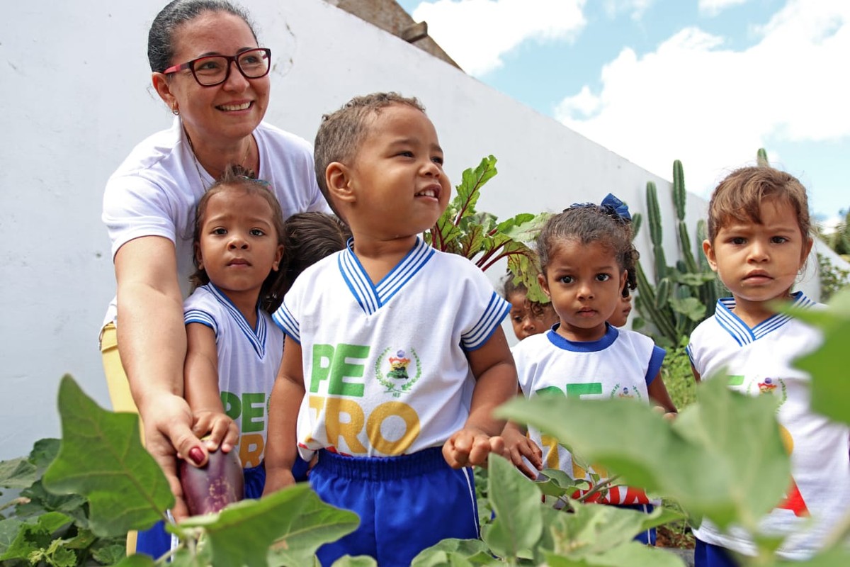 Secretaria de Educação de Petrolina anuncia mudança na data das matrículas  para alunos do Nova Semente | Petrolina e Região | G1