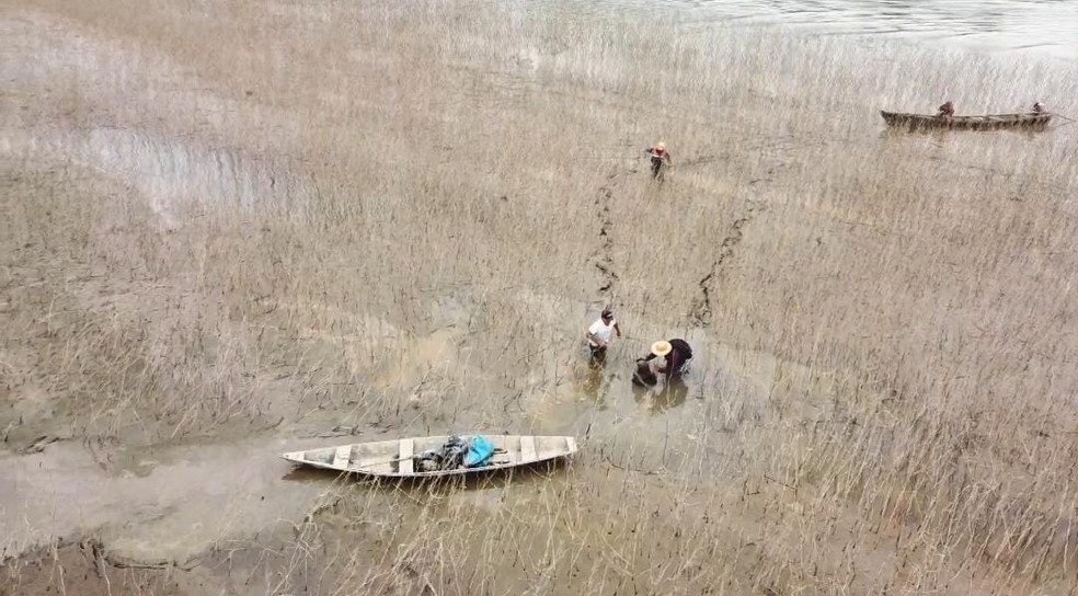 Imagem mostra pescador idoso ser resgatado após ficar 3 dias encalhado em buraco de lama no Rio Solimões. — Foto: Bruce Kevin