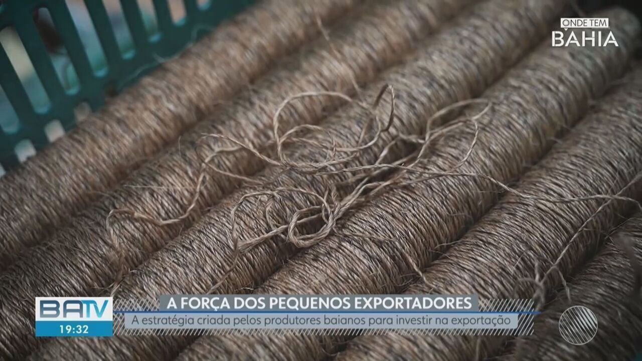'A força dos pequenos exportadores': TV Bahia vence a 11ª edição do Prêmio Sebrae de Jornalismo